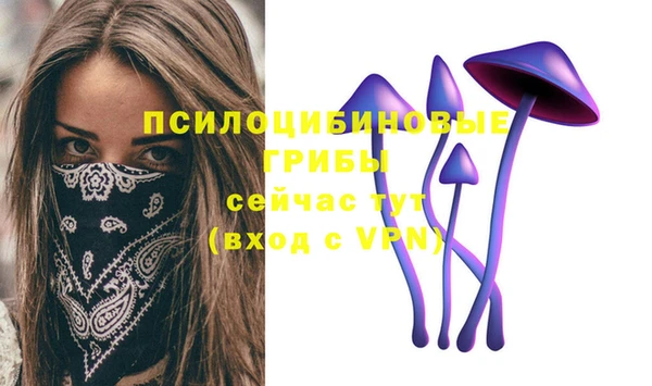 гидропоника Верея