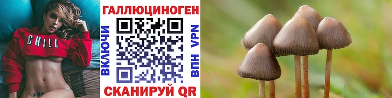 Псилоцибиновые грибы Cubensis  купить наркоту  Южно-Сухокумск 